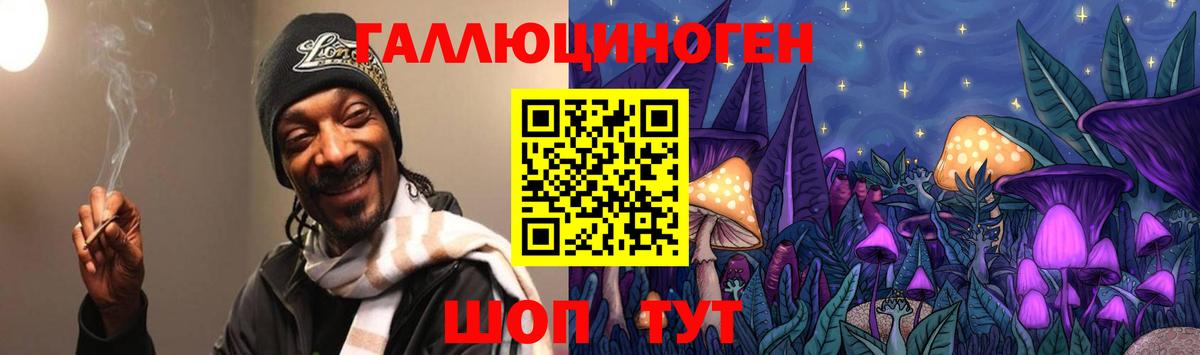Псилоцибиновые грибы MAGIC MUSHROOMS  Вход с VPN  Галлюциногенные грибы Psilocybe  Алейск 